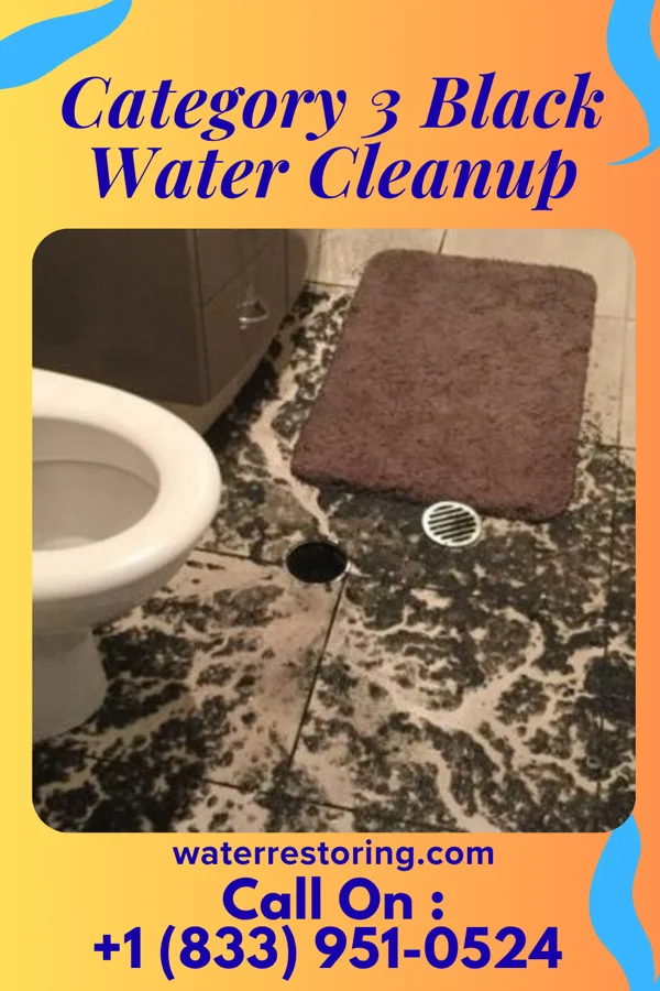 Category 3 Black Water Cleanup in Bridger, MT
