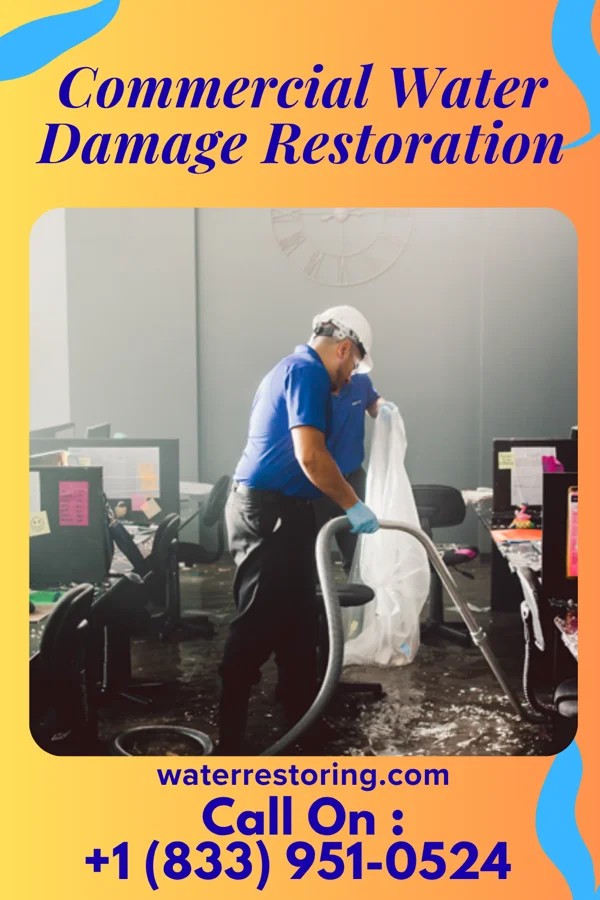 Commercial Water Damage Restoration in Bridger, MT