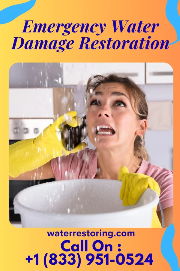 Emergency Water Damage Restoration in Bridger, MT