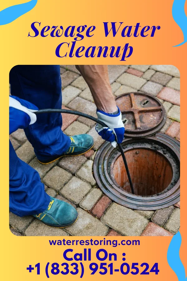 Sewage Water Cleanup in Bridger, MT